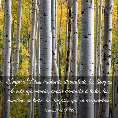 Picture 03 - Hechos 17:30 RVA - Empero Dios, habiendo disimulado los tiempos de - Bible Verse Picture