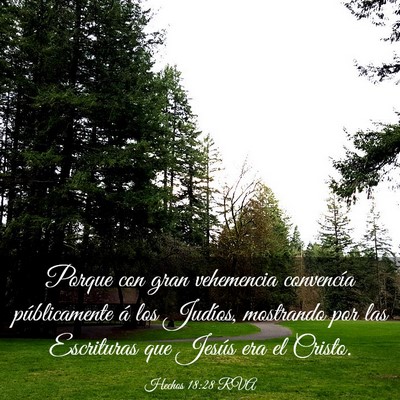 Picture 03 - Hechos 18:28 RVA - Porque con gran vehemencia convencía - Bible Verse Picture