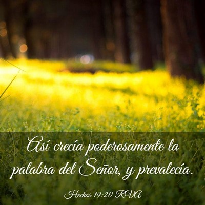 Picture 03 - Hechos 19:20 RVA - Así crecía poderosamente la palabra del Señor, - Bible Verse Picture