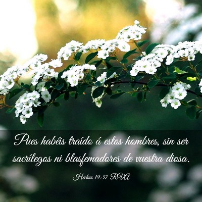 Picture 03 - Hechos 19:37 RVA - Pues habéis traído á estos hombres, sin ser - Bible Verse Picture
