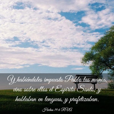 Picture 03 - Hechos 19:6 RVA - Y habiéndoles impuesto Pablo las manos, vino - Bible Verse Picture