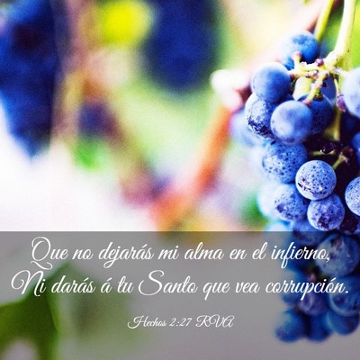 Picture 03 - Hechos 2:27 RVA - Que no dejarás mi alma en el infierno, Ni darás - Bible Verse Picture