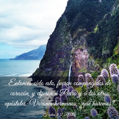 Picture 03 - Hechos 2:37 RVA - Entonces oído esto, fueron compungidos de - Bible Verse Picture