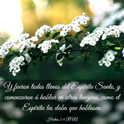 Picture 03 - Hechos 2:4 RVA - Y fueron todos llenos del Espíritu Santo, y - Bible Verse Picture
