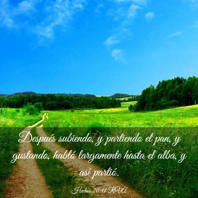 Picture 03 - Hechos 20:11 RVA - Después subiendo, y partiendo el pan, y - Bible Verse Picture
