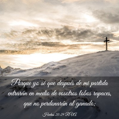 Picture 03 - Hechos 20:29 RVA - Porque yo sé que después de mi partida - Bible Verse Picture