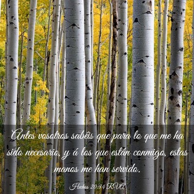 Picture 03 - Hechos 20:34 RVA - Antes vosotros sabéis que para lo que me ha sido - Bible Verse Picture