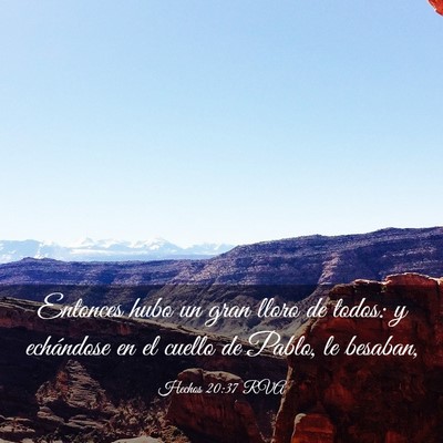 Picture 03 - Hechos 20:37 RVA - Entonces hubo un gran lloro de todos: y - Bible Verse Picture