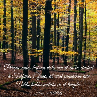 Picture 03 - Hechos 21:29 RVA - Porque antes habían visto con él en la ciudad - Bible Verse Picture
