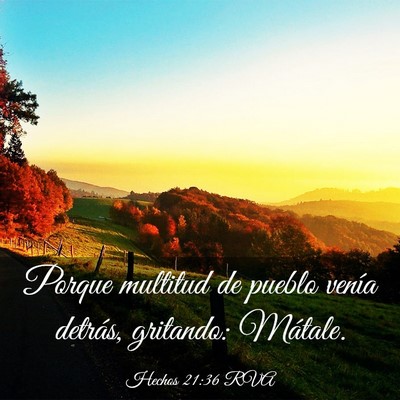 Picture 03 - Hechos 21:36 RVA - Porque multitud de pueblo venía detrás, - Bible Verse Picture