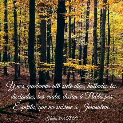 Picture 03 - Hechos 21:4 RVA - Y nos quedamos allí siete días, hallados los - Bible Verse Picture