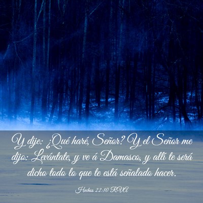 Picture 03 - Hechos 22:10 RVA - Y dije: ¿Qué haré, Señor? Y el Señor me - Bible Verse Picture