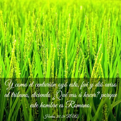 Picture 03 - Hechos 22:26 RVA - Y como el centurión oyó esto, fué y dió aviso - Bible Verse Picture