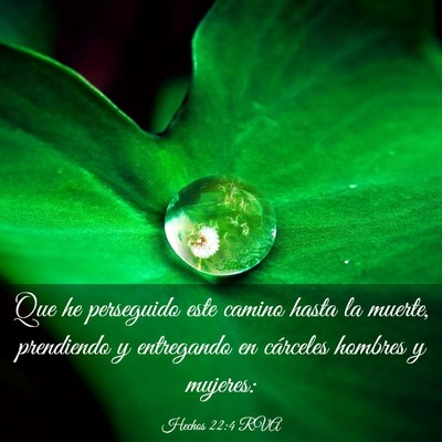 Picture 03 - Hechos 22:4 RVA - Que he perseguido este camino hasta la muerte, - Bible Verse Picture