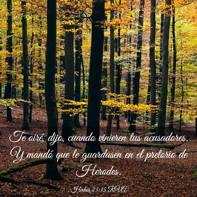 Picture 03 - Hechos 23:35 RVA - Te oiré, dijo, cuando vinieren tus acusadores. Y - Bible Verse Picture