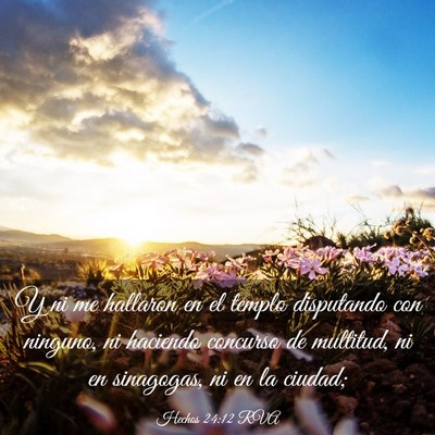 Picture 03 - Hechos 24:12 RVA - Y ni me hallaron en el templo disputando con - Bible Verse Picture