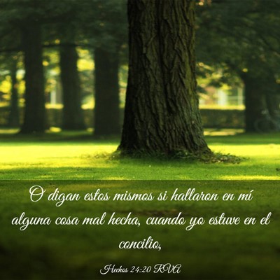 Picture 03 - Hechos 24:20 RVA - O digan estos mismos si hallaron en mí alguna - Bible Verse Picture