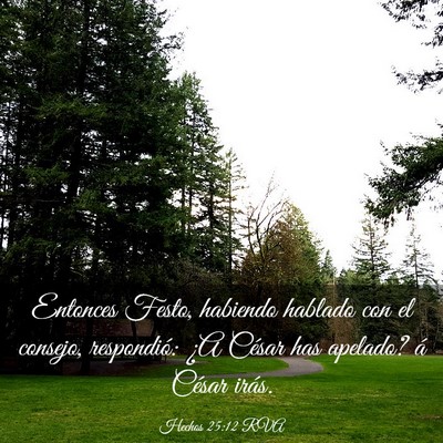 Picture 03 - Hechos 25:12 RVA - Entonces Festo, habiendo hablado con el consejo, - Bible Verse Picture