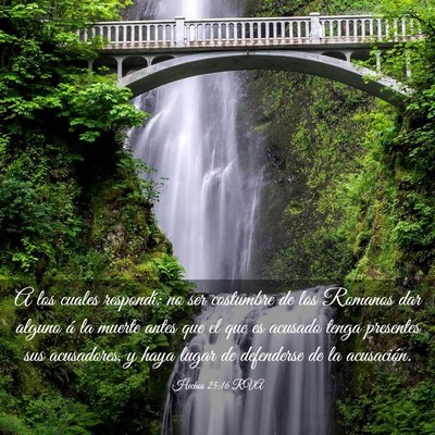 Picture 03 - Hechos 25:16 RVA - A los cuales respondí: no ser costumbre de los - Bible Verse Picture