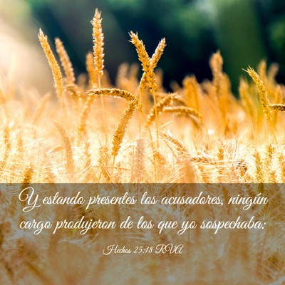Picture 03 - Hechos 25:18 RVA - Y estando presentes los acusadores, ningún cargo - Bible Verse Picture