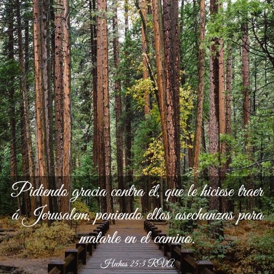 Picture 03 - Hechos 25:3 RVA - Pidiendo gracia contra él, que le hiciese traer - Bible Verse Picture