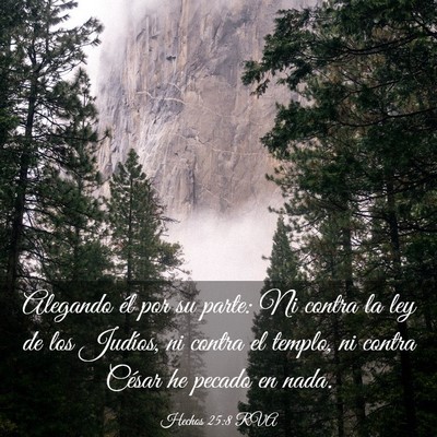 Picture 03 - Hechos 25:8 RVA - Alegando él por su parte: Ni contra la ley de - Bible Verse Picture