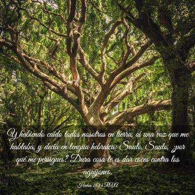 Picture 03 - Hechos 26:14 RVA - Y habiendo caído todos nosotros en tierra, oí - Bible Verse Picture