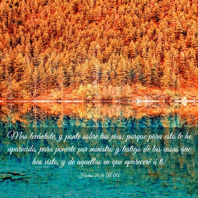 Picture 03 - Hechos 26:16 RVA - Mas levántate, y ponte sobre tus pies; porque - Bible Verse Picture