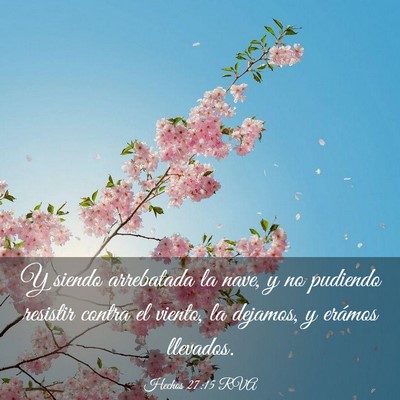 Picture 03 - Hechos 27:15 RVA - Y siendo arrebatada la nave, y no pudiendo - Bible Verse Picture