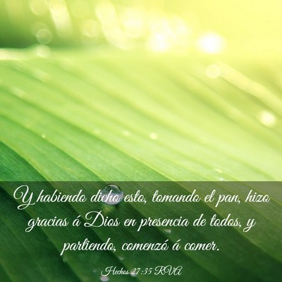 Picture 03 - Hechos 27:35 RVA - Y habiendo dicho esto, tomando el pan, hizo - Bible Verse Picture