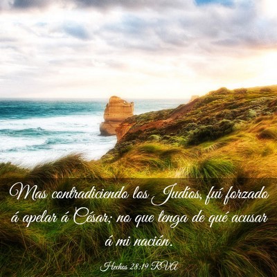 Picture 03 - Hechos 28:19 RVA - Mas contradiciendo los Judíos, fuí forzado á - Bible Verse Picture