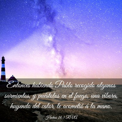 Picture 03 - Hechos 28:3 RVA - Entonces habiendo Pablo recogido algunos - Bible Verse Picture