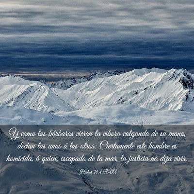 Picture 03 - Hechos 28:4 RVA - Y como los bárbaros vieron la víbora colgando - Bible Verse Picture