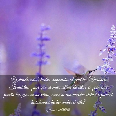 Picture 03 - Hechos 3:12 RVA - Y viendo esto Pedro, respondió al pueblo: - Bible Verse Picture
