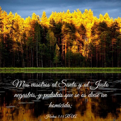 Picture 03 - Hechos 3:14 RVA - Mas vosotros al Santo y al Justo negasteis, y - Bible Verse Picture