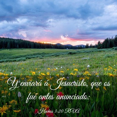 Picture 03 - Hechos 3:20 RVA - Y enviará á Jesucristo, que os fué antes - Bible Verse Picture