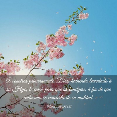 Picture 03 - Hechos 3:26 RVA - A vosotros primeramente, Dios, habiendo levantado - Bible Verse Picture
