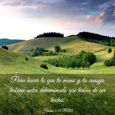 Picture 03 - Hechos 4:28 RVA - Para hacer lo que tu mano y tu consejo habían - Bible Verse Picture