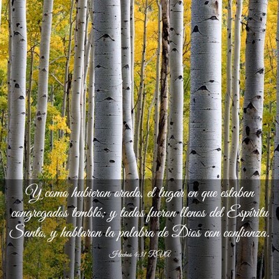 Picture 03 - Hechos 4:31 RVA - Y como hubieron orado, el lugar en que estaban - Bible Verse Picture