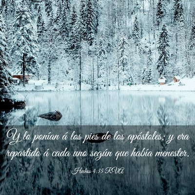 Picture 03 - Hechos 4:35 RVA - Y lo ponían á los pies de los apóstoles; y era - Bible Verse Picture