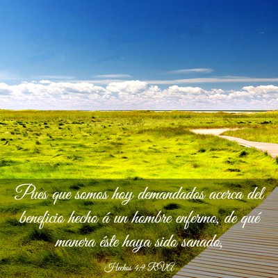 Picture 03 - Hechos 4:9 RVA - Pues que somos hoy demandados acerca del - Bible Verse Picture