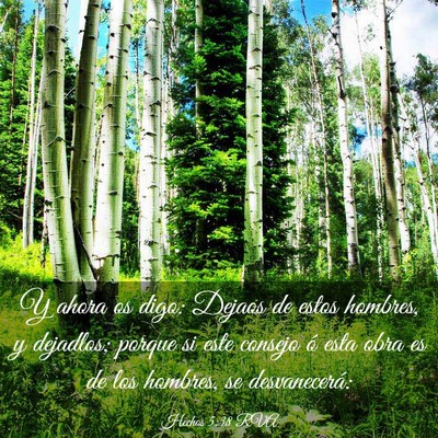 Picture 03 - Hechos 5:38 RVA - Y ahora os digo: Dejaos de estos hombres, y - Bible Verse Picture