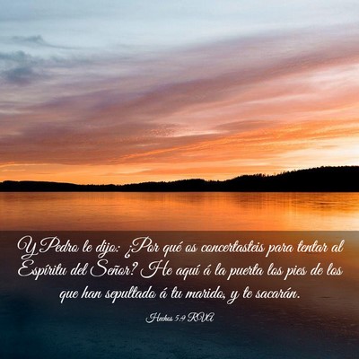 Picture 03 - Hechos 5:9 RVA - Y Pedro le dijo: ¿Por qué os concertasteis para - Bible Verse Picture
