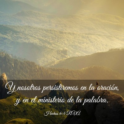 Picture 03 - Hechos 6:4 RVA - Y nosotros persistiremos en la oración, y en el - Bible Verse Picture