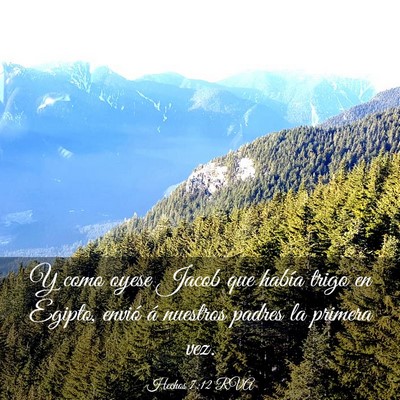 Picture 03 - Hechos 7:12 RVA - Y como oyese Jacob que había trigo en Egipto, - Bible Verse Picture