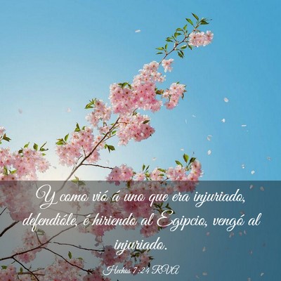 Picture 03 - Hechos 7:24 RVA - Y como vió á uno que era injuriado, - Bible Verse Picture