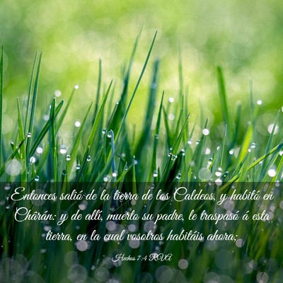 Picture 03 - Hechos 7:4 RVA - Entonces salió de la tierra de los Caldeos, y - Bible Verse Picture
