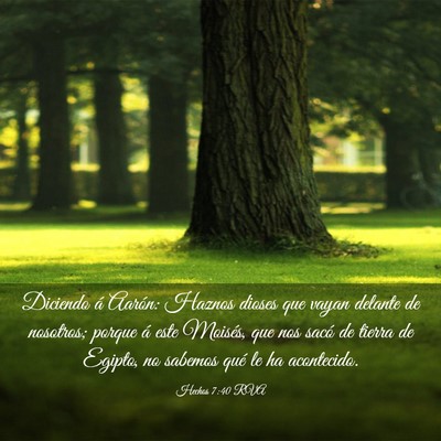 Picture 03 - Hechos 7:40 RVA - Diciendo á Aarón: Haznos dioses que vayan - Bible Verse Picture