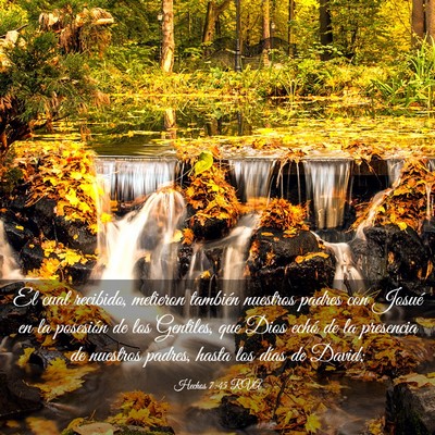 Picture 03 - Hechos 7:45 RVA - El cual recibido, metieron también nuestros - Bible Verse Picture