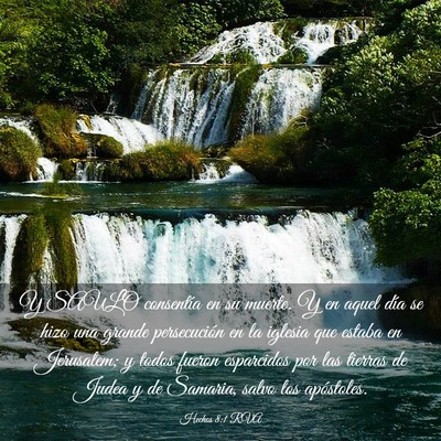 Picture 03 - Hechos 8:1 RVA - Y SAULO consentía en su muerte. Y en aquel día - Bible Verse Picture